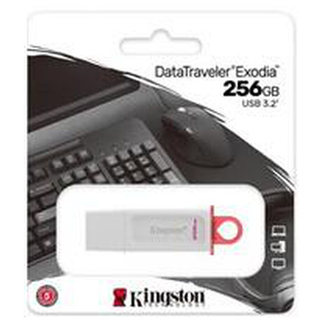 Kingston Flash Disk 256GB USB3.2 Gen1 DataTraveler Exodia (foto 1)