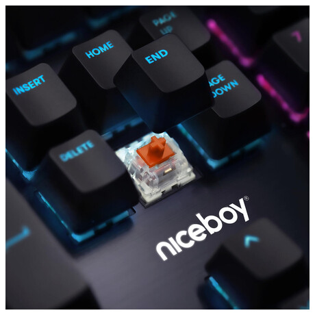 Herní klávesnice Niceboy ORYX K445 Element