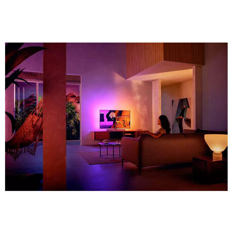 SET UHD OLED TV Philips 48OLED936 + Philips TAW6505