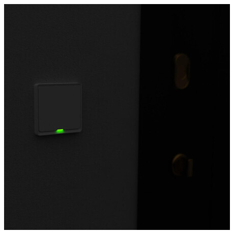 Tesla Smart Switch (foto 8)
