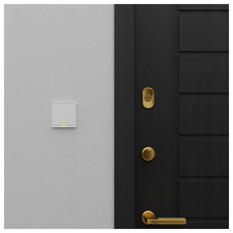 Tesla Smart Switch (foto 9)