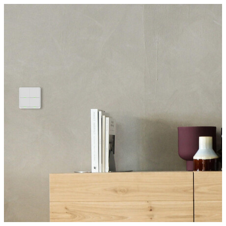 Tesla Smart Switch Quatro Battery (foto 9)