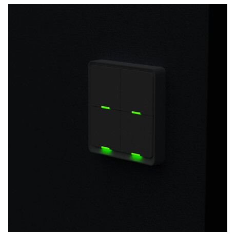 Tesla Smart Switch Quatro Battery (foto 10)