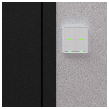 Tesla Smart Switch Quatro Battery (foto 11)