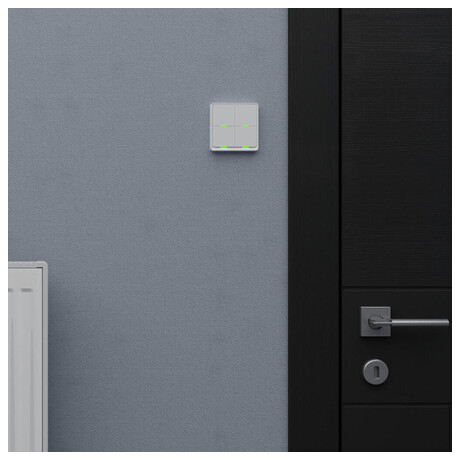 Tesla Smart Switch Quatro Battery (foto 12)