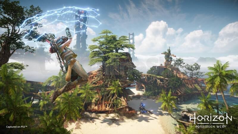 Hra pro PS4 Sony Horizon-Forbidden Westt