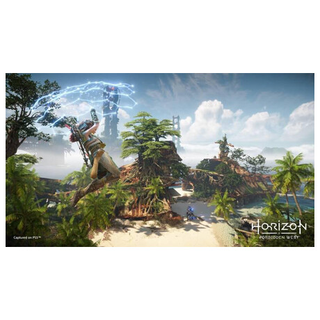 Hra pro PS4 Sony Horizon-Forbidden Westt