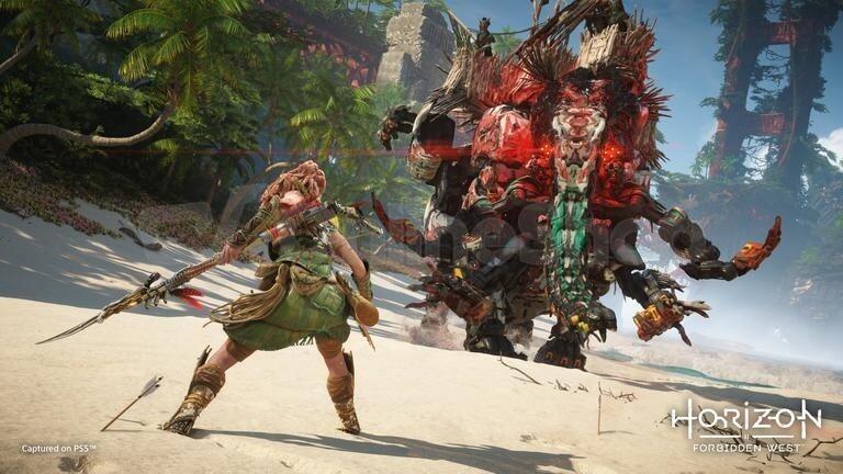 Hra pro PS4 Sony Horizon-Forbidden Westt