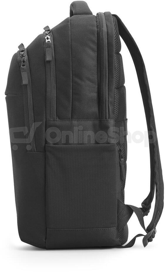 HP Professional 17.3-inch Backpack (500S6AA)