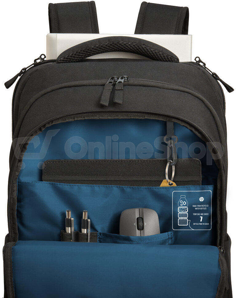 HP Professional 17.3-inch Backpack (500S6AA)