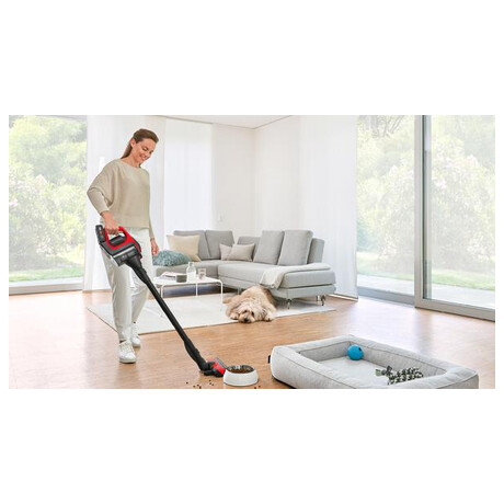 Bosch BBS8214PET (foto 13)