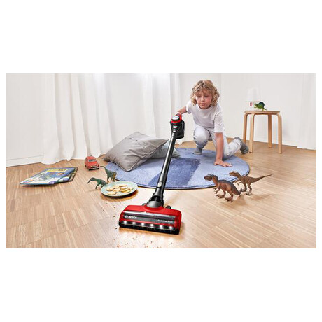 Bosch BBS8214PET (foto 12)