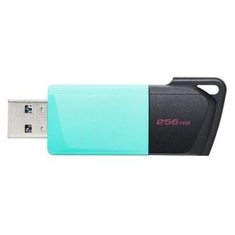 256GB Kingston USB 3.2 (gen 1) DT Exodia M (DTXM/256GB)