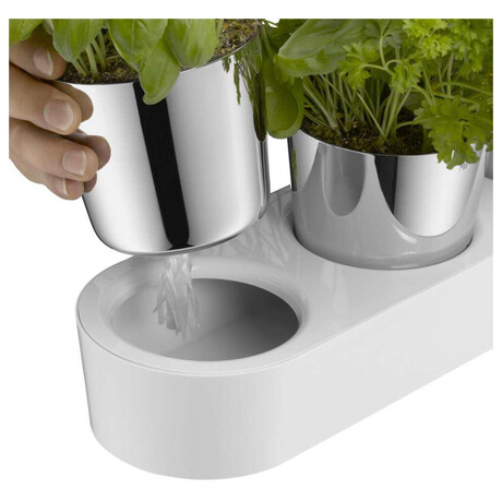 WMF Gourmet (foto 2)