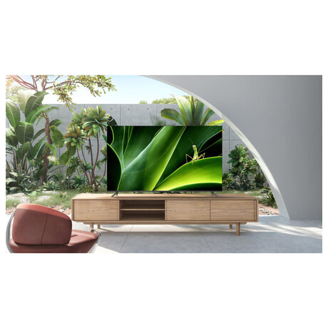 TCL 65P735 (foto 8)