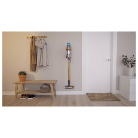 Tyov vysava Dyson V15 Detect Absolute (2022)
