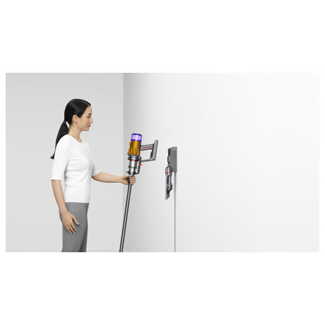 Dyson V12 Detect Slim Absolute (foto 7)