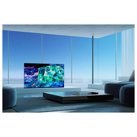 Sony BRAVIA XR65A95KAEP (foto 12)
