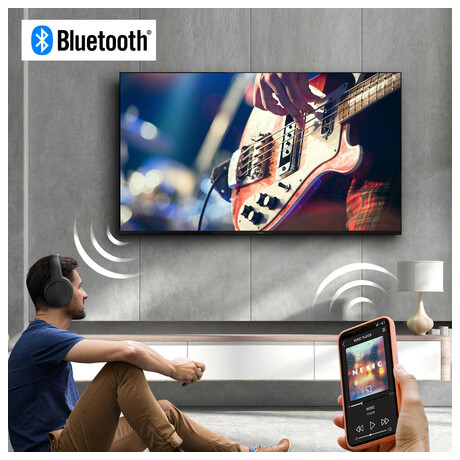 LED televize Panasonic TX 43LS500E