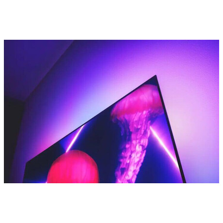 Philips 65OLED807/12 (foto 5)