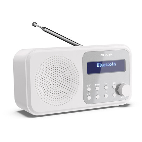 Digitln rdio Sharp DR-P420WH