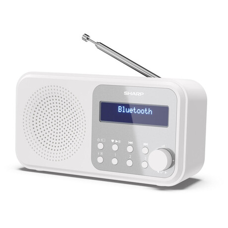 Digitln rdio Sharp DR-P420WH