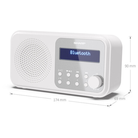 Digitln rdio Sharp DR-P420WH