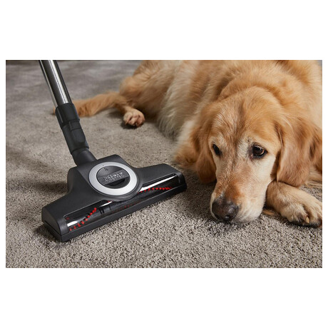 Miele Compact C2&nbsp;Cat &&nbsp;Dog SDBF5 (foto 5)