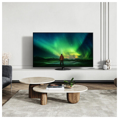 OLED televize Panasonic TX 65LZ1000E