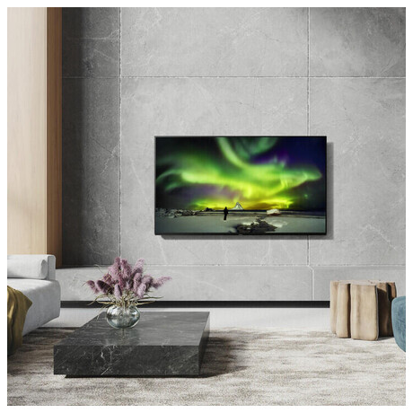 OLED televize Panasonic TX 65LZ1000E