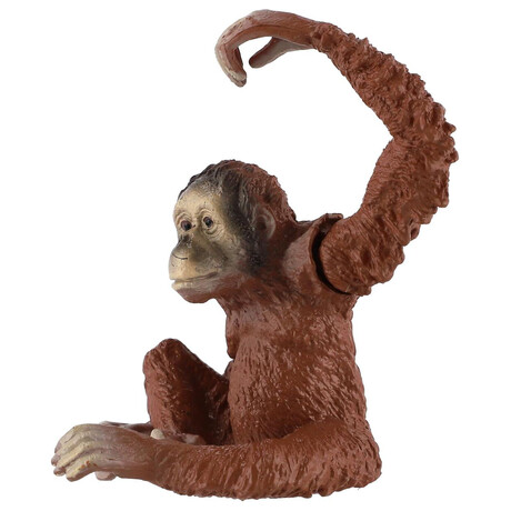 Figurka Zooted Orangutan sumatersk, plast, 8 cm