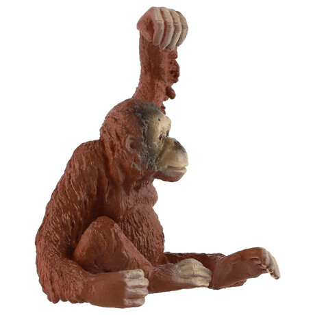 Figurka Zooted Orangutan sumatersk, plast, 8 cm