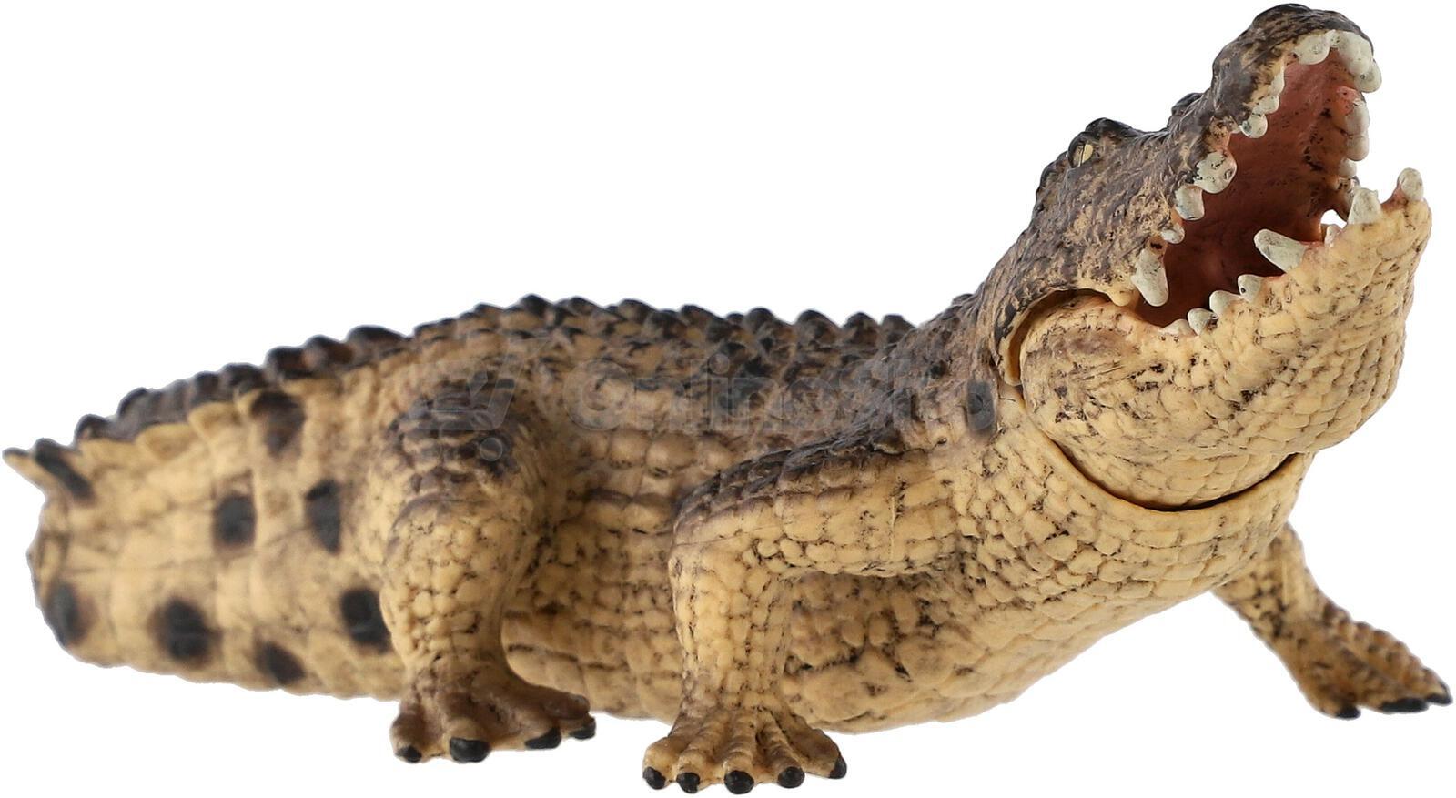 Figurka Zooted Krokodýl nilský, plast, 18 cm