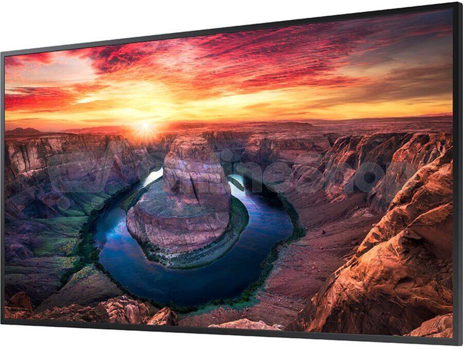 Monitor Samsung QM43B T