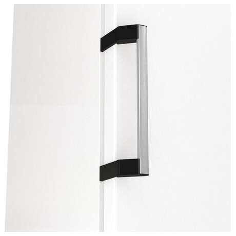 Mrazk Gorenje FN619DAW6