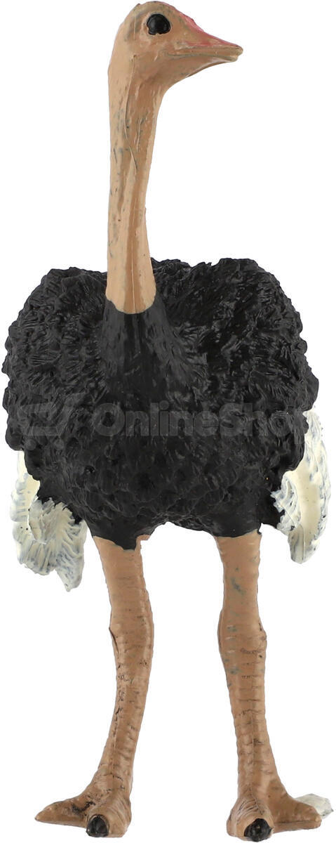 Figurka Zooted Pštros dvouprstý, plast, 11 cm
