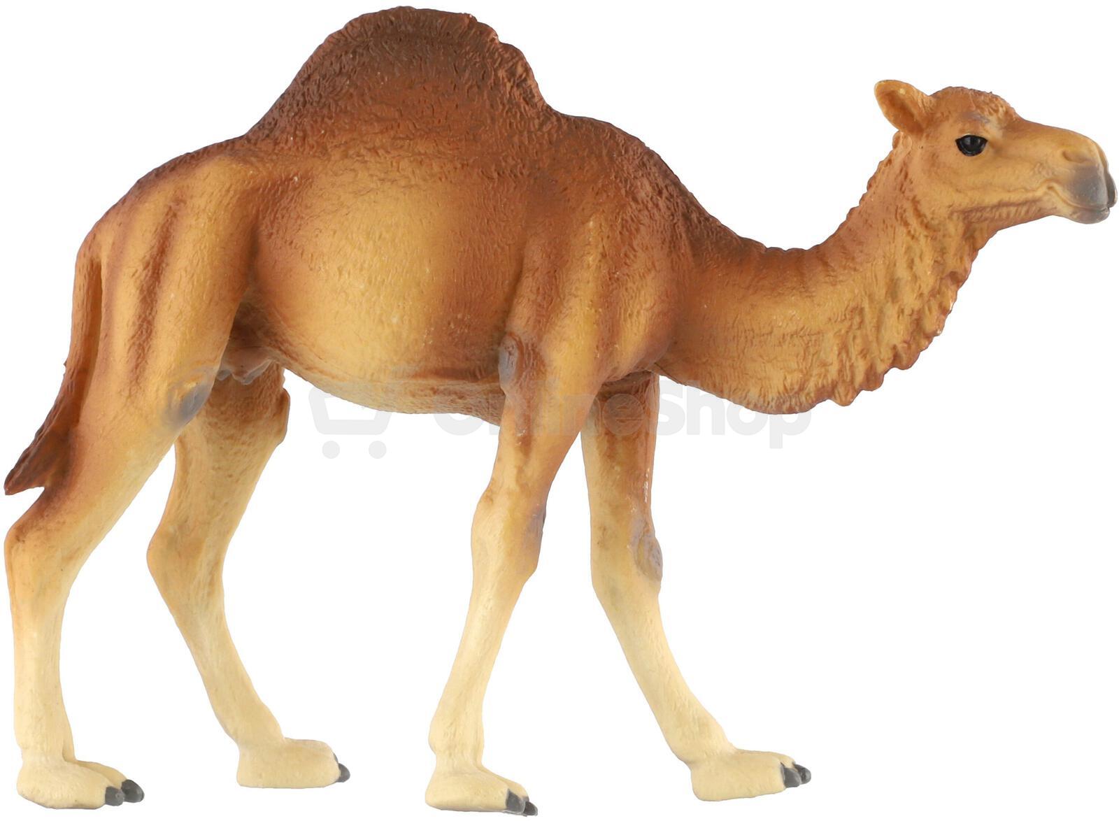 Figurka Zooted Velbloud jednohrbý, 13 cm