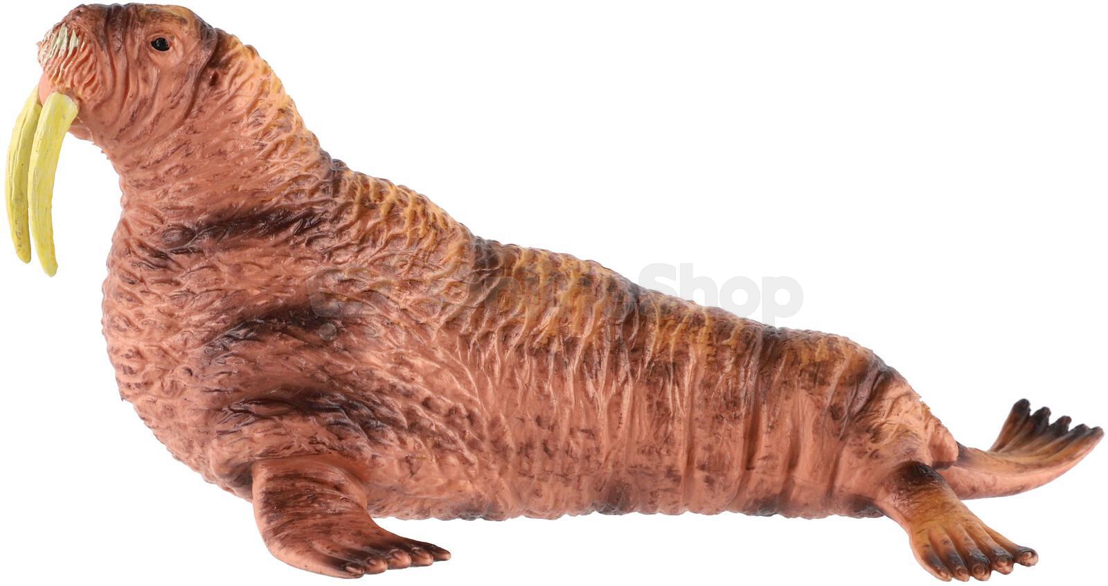 Figurka Zooted Mrož lední, plast, 14 cm