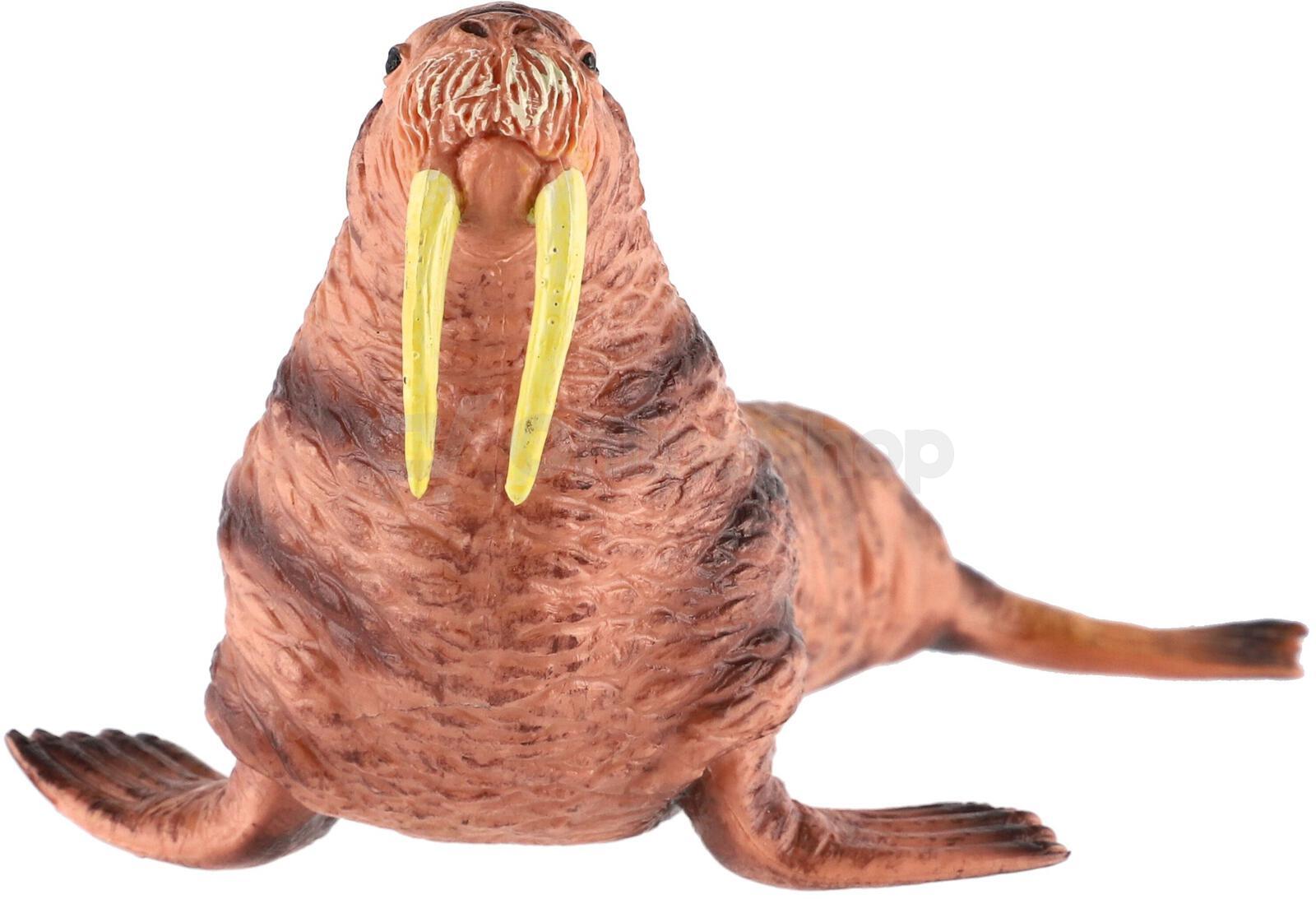 Figurka Zooted Mrož lední, plast, 14 cm