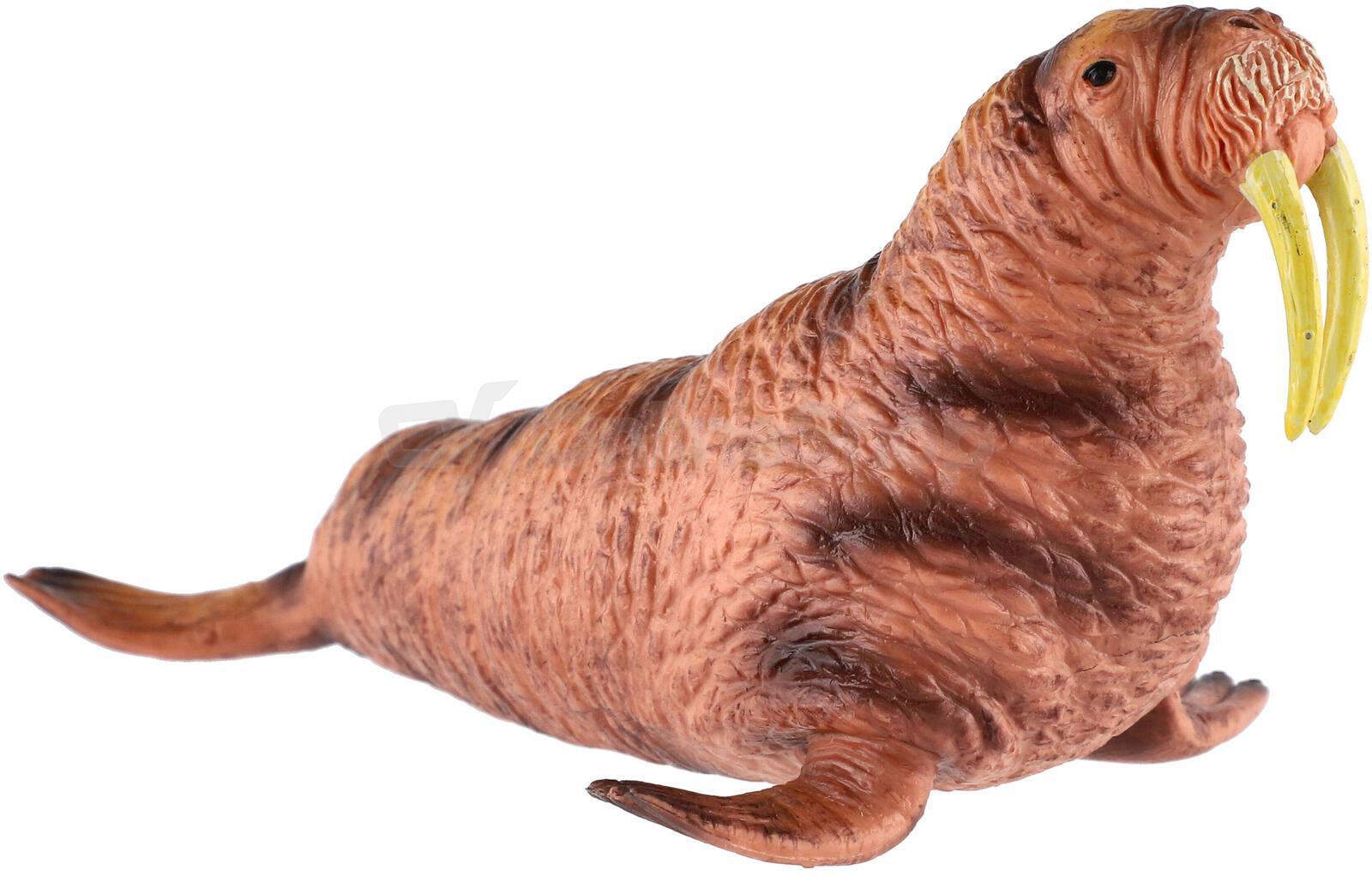 Figurka Zooted Mrož lední, plast, 14 cm