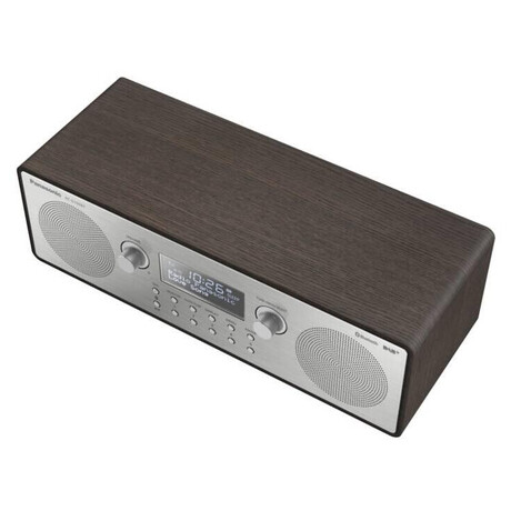 Panasonic RF-D100BTEGT