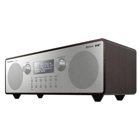 Panasonic RF-D100BTEGT