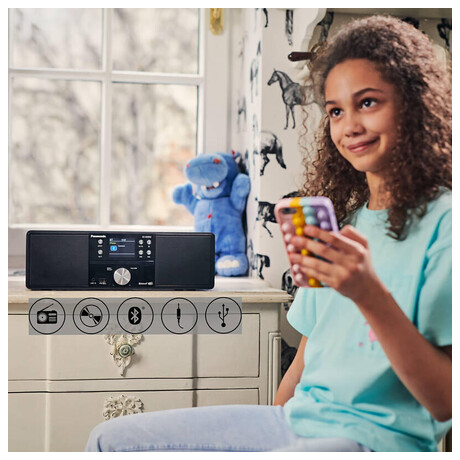 Panasonic SC-DM202EG-K
