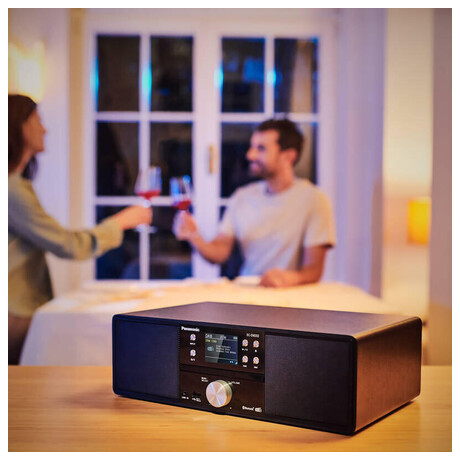 Panasonic SC-DM202EG-K