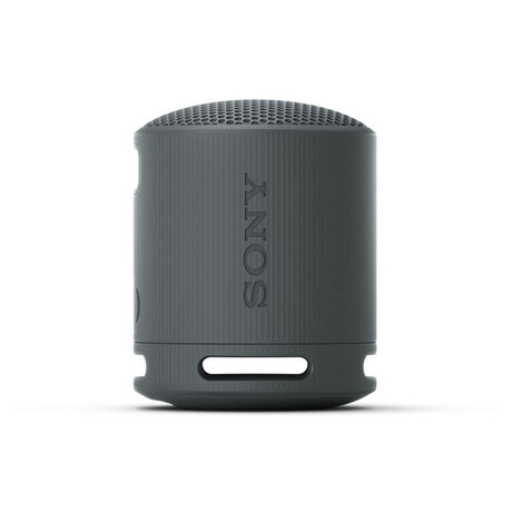 Sony SRS-XB100, černý (foto 1)