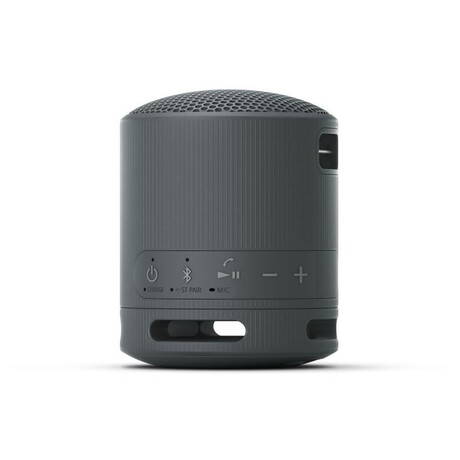Sony SRS-XB100, černý (foto 2)