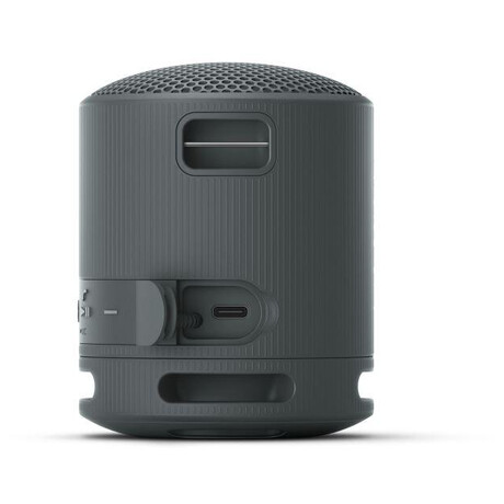 Sony SRS-XB100, černý (foto 3)