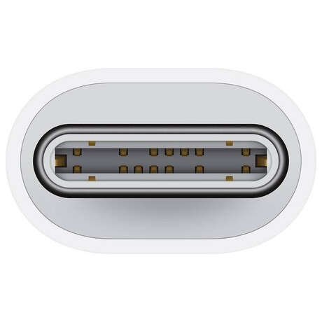 Apple USB-C to Lightning Adapter