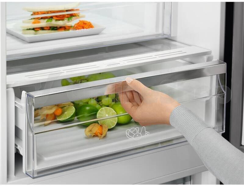 Chladnička Electrolux LNT7ME36K2