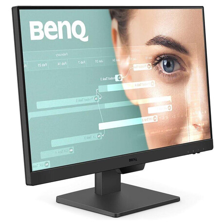 Monitor BenQ BL2490
